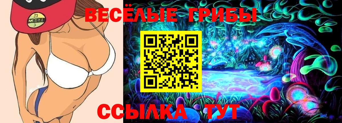 Галлюциногенные грибы Psilocybe Вятские Поляны