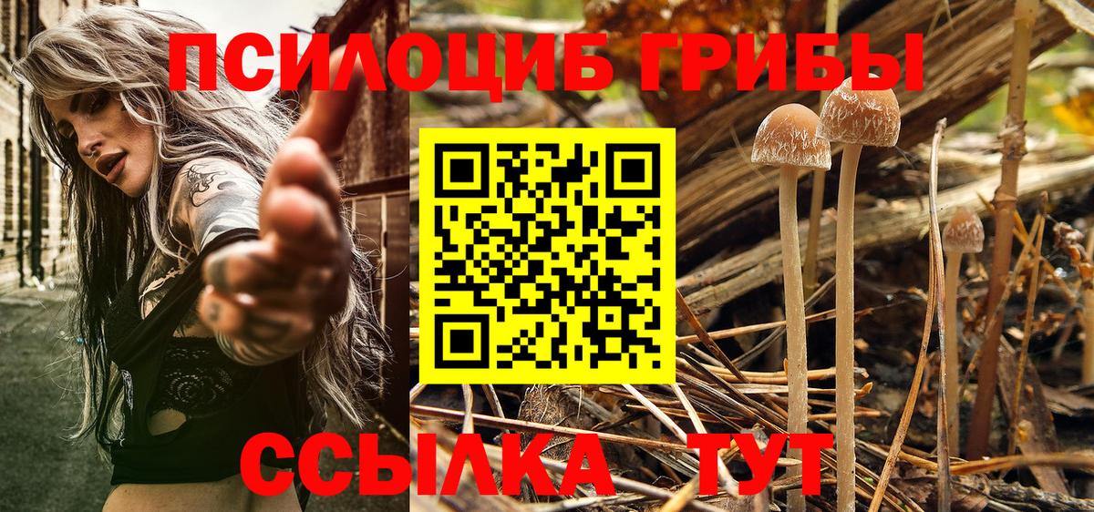 Вятские Поляны  Галлюциногенные грибы Magic Shrooms  Вход с VPN 