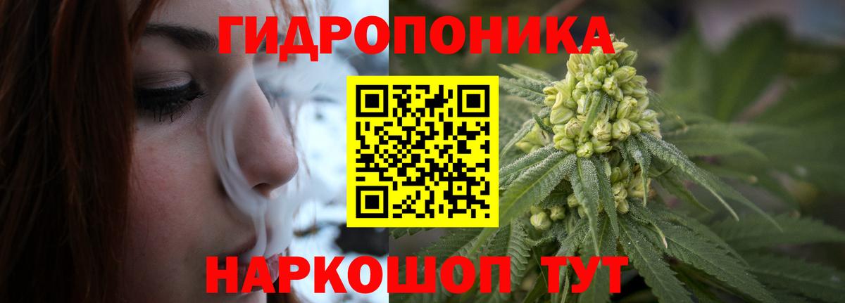 Вятские Поляны  Конопля сатива  Каннабис план  Каннабис LSD WEED  Бошки марихуана план  Вход с VPN 